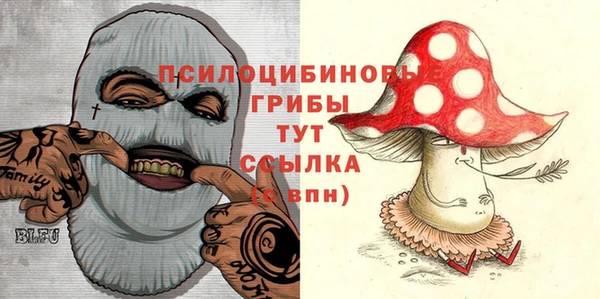 дмт Семикаракорск