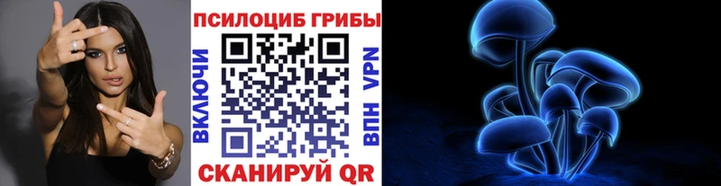 Псилоцибиновые грибы Cubensis  Дорогобуж 